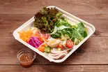 生産者直送プレミアム大盛りサラダセット（やさいこころ）