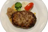 ハンバーグ 和風おろし(180g)（洋食 フライ）