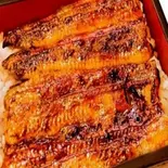 国産うな重(本格海鮮丼 とと家)