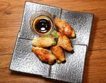 鶏皮餃子chicken skin gyoza dumpling（鶏と無限の可能性）
