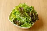 グリーンサラダ（100時間カレー尼崎店）