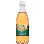 ジンジャーエール(500ml)(ピザワールド 武庫之荘店)