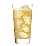 ジンジャーエール GingerAle（インドダイニング＆バー サティーSATHI）
