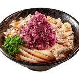柴漬豚鬼おろしぶっかけうどん（はなまるうどん 横浜西口パルナード店）
