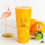 生オレンジティー(Lサイズ) Flesh orange tea(L size)（溢茶YICHA）