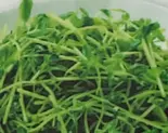 豆苗のさっぱり炒め（本格中華料理 東盛軒）