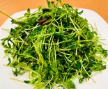豆苗の塩炒め【炒豆苗】（川覇王）