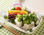 HG選べるドレッシング豆腐とおくらの10種野菜サラダ（ハンバーグ グッド 神田淡路町店）