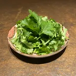 パクチー（薬膳麻辣湯と薬膳カレー灯華）