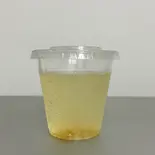 はちみつゆずソーダ（友来）