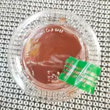 梅ソース(チキラボPLUS塚本店)