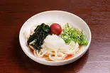 うめおろしうどん（【濃厚鰹ダシ】天八うどん どんでん）