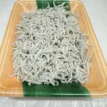 釜揚げしらす（魚屋 UOTACHI）
