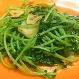 豆苗のナンプラー炒め fried pea sprouts（マレーシア屋台料理 ちりばり 五反田本店）