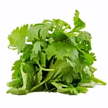 大盛りパクチー Large coriander（毎日カオマンガイ飯田橋店）