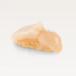 ほたて（江戸前鮨 みさき 総本店）