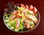 タンドリーチキン サラダ Tandoori chicken salad（ASAIN DaiNiNG＆BAR LALIGuRas）