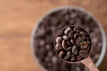 ジャーマンロースト 100g（Beans ＆ Beans ぽえむ）