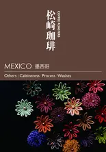 コーヒー豆 デカフェ メキシコ 75g（和漢Deli無花果）