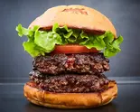 DH ダブルハンバーガー DoubleHamburger（ショーグンバーガー池袋西口店）