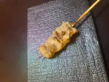 大山鶏ササミ串 1本（特選牛＆大山鶏上質串焼き 串55）