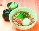 梅おろしそば(太麺)並盛（手打ちそば さくら サッポロファクトリー店）