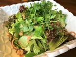 生野菜パクチーサラダ Raw Vegetables and Cilantro Salad（エスニック専門店 Asian Cafe ＆ Diner Vivid Ajia）