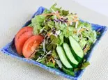 野菜サラダ（トルシー）