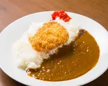 フィッシュフライカレー Fried Fish Curry(肉食系カレー カレーの虎)