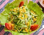 グリーンサラダ Green Salad（インド料理 スワガット）