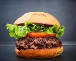 ハンバーガー Hamburger（SHOGUN BURGER 麻布台ヒルズ店）