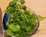パクチー ngò rí（ベトナム料理 アオザイレストラン）