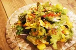 気まぐれ野菜サラダ（笹塚アキッチョバンブー）
