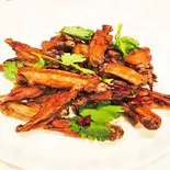 手羽先と唐辛子炒め Chicken Wing Tip and Chilli Pepper Stir-Fry（蘇州風居酒屋豫園 綾瀬店）