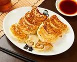 辛味餃子 Spicy Gyoza Dumplings(餃子専門店 藤井屋)