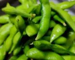 塩えだまめ - カリッとした食感が楽しい一品（たんや沖縄たんたん）