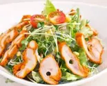 チキンスパイスサラダ Spicy Chicken Salad（LAXMI）