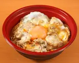 国産鶏の親子丼（とり樹亭）
