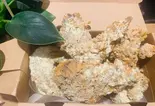 スノーハニーバターチキン（茶咖匠 野方店）