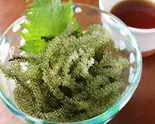 海ぶどう（海人成増店）