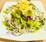 Green salad(インドネパール料理サプナ)
