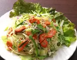 【5】スパイシーチキンサラダ/Spicy Chicken Salad（ナマステキッチン溝口店）