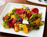 神奈川県野菜のグリーンサラダ Green Salad with Kanagawa Vegetables（Pizzeria Regista）