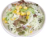 ミニサラダ/Mini Salad（インド料理プルニマ）
