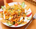 タンドリーサラダ Tandoori Salad(VINISHA INDIAN NEPALI RESTAURANT)