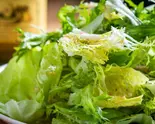 グリーンサラダ/Green Salad（インド料理＆バー サクラ）