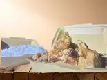 爆盛りマウンテン唐揚げBox(爆盛り唐揚げマウンテン本舗)