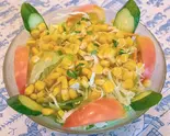 ドレッシング無しサラダ Green No deressing Salad（本格インド料理 ラディカ）