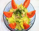 グリーンサラダ Green Salad(インド料理ダルバール Indian Food DARBAR)