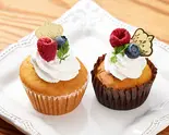 犬用 レギュラー2個セット（mofmof cafe）